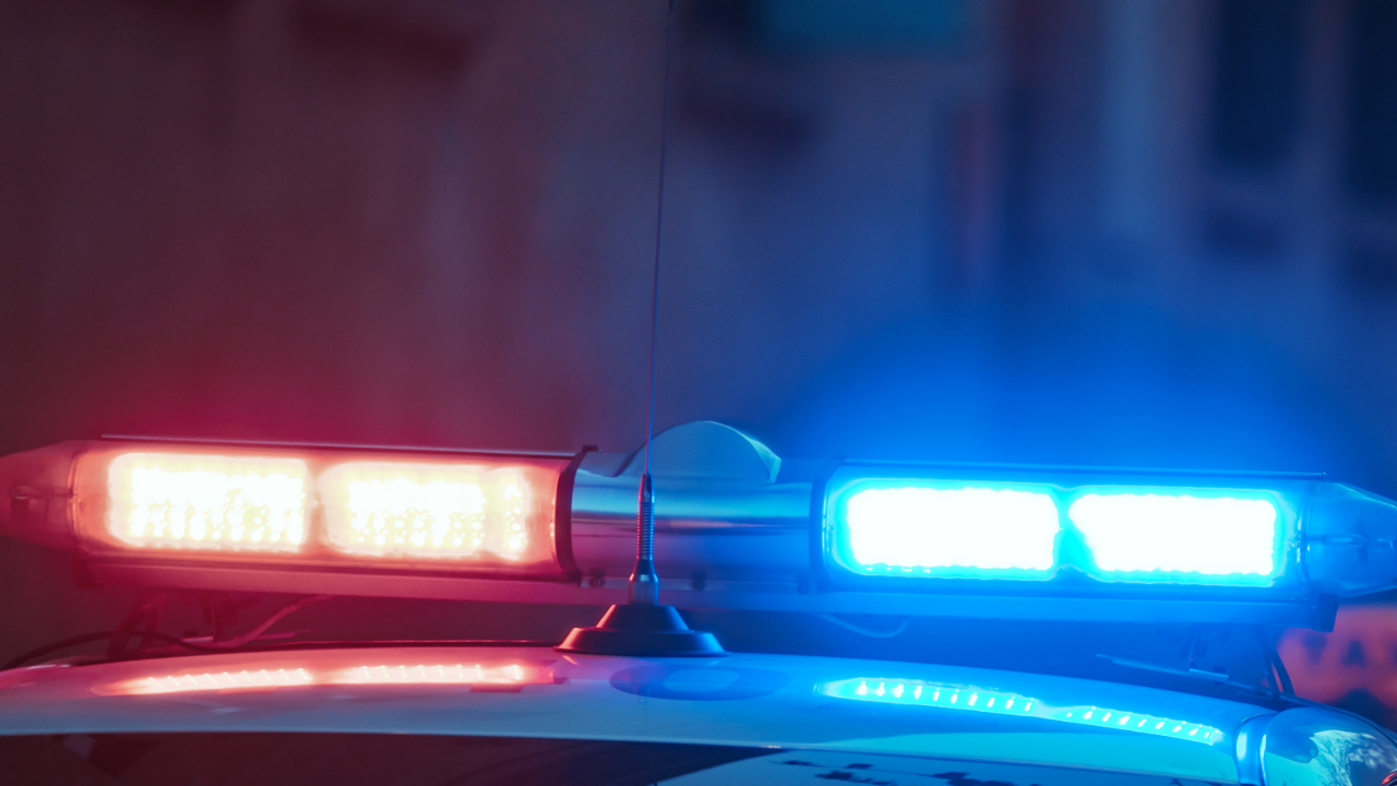 Policajac iz Hanover Parka, državljanin Crne Gore