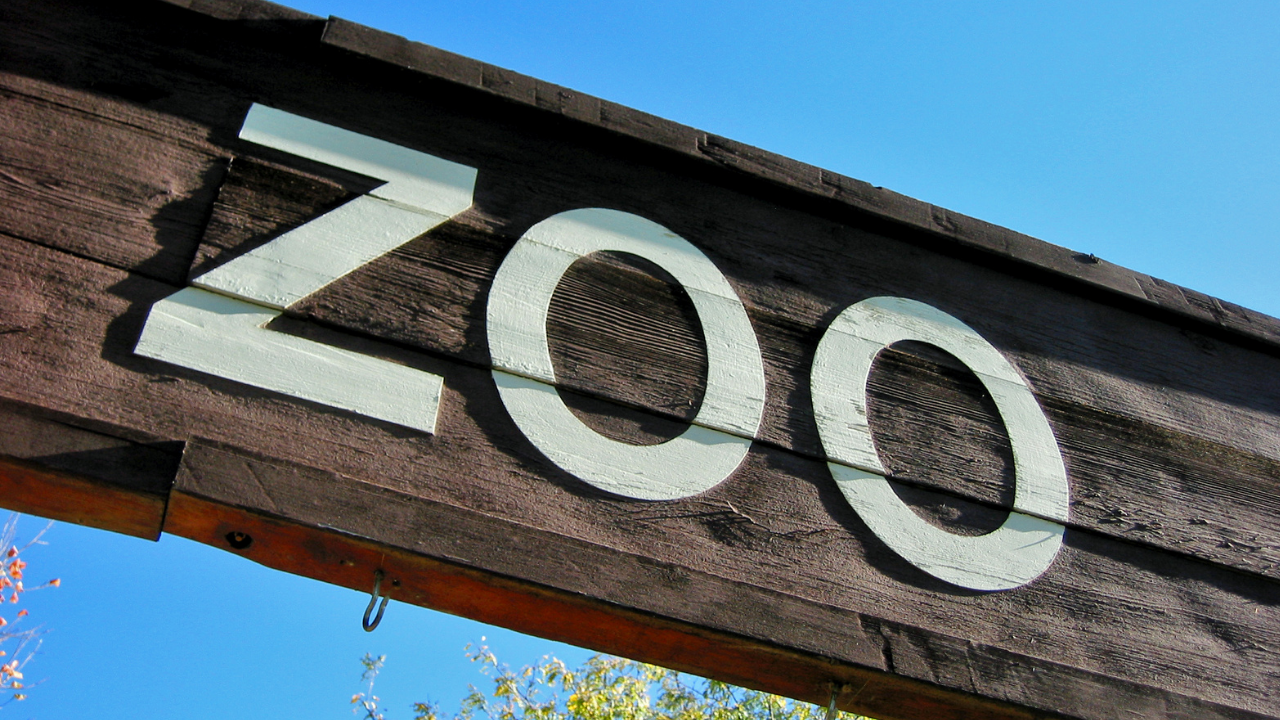 Poznati zoološki vrt nadomak Čikaga nudi besplatan ulaz tokom cele zime — uz dva izuzetka