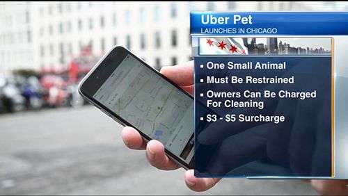 Uber Pets omogućava vašim ljubimcima da vam se pridruže u vožnji!