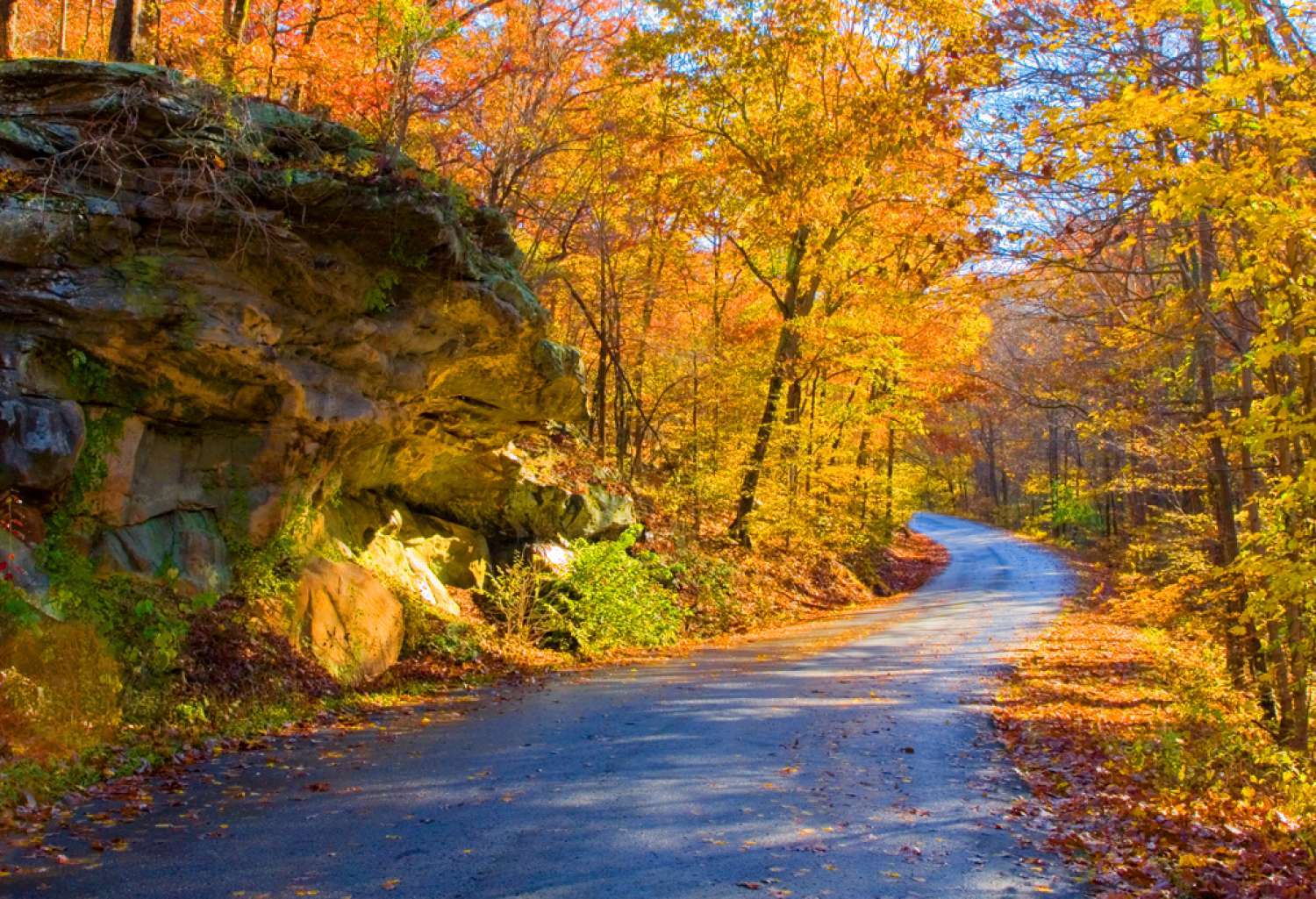 8 najboljih četvrti za život u Čikagu u 2025. godini - Chicago Glasnik