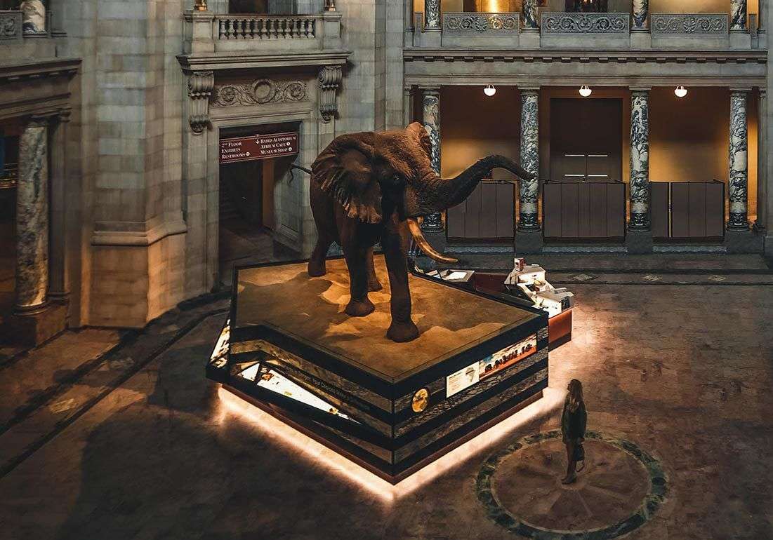 14 najboljih muzeja u Čikagu koje morate  da posetite — Chicago Gla…