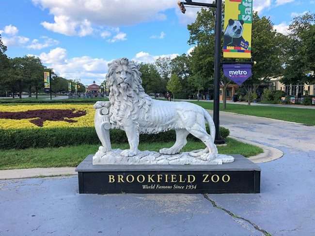 zoo vrt brookfield chicago glasnik