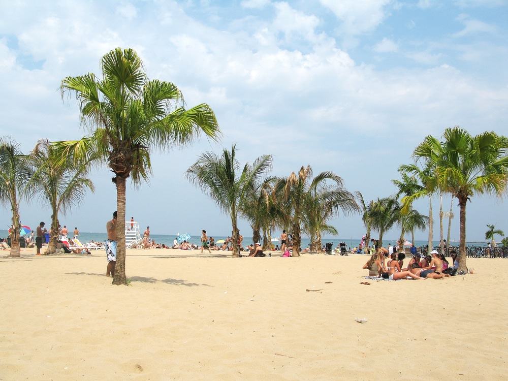 North Avenue Beach, Chicago