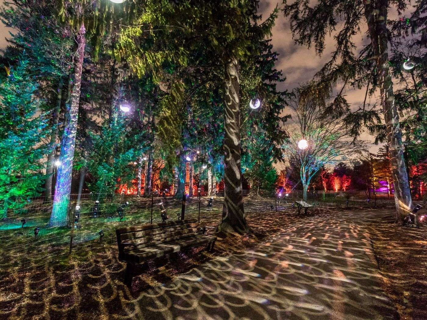 “Illumination: Tree Lights” Walking Experience ponovo u Čikagu ove jeseni