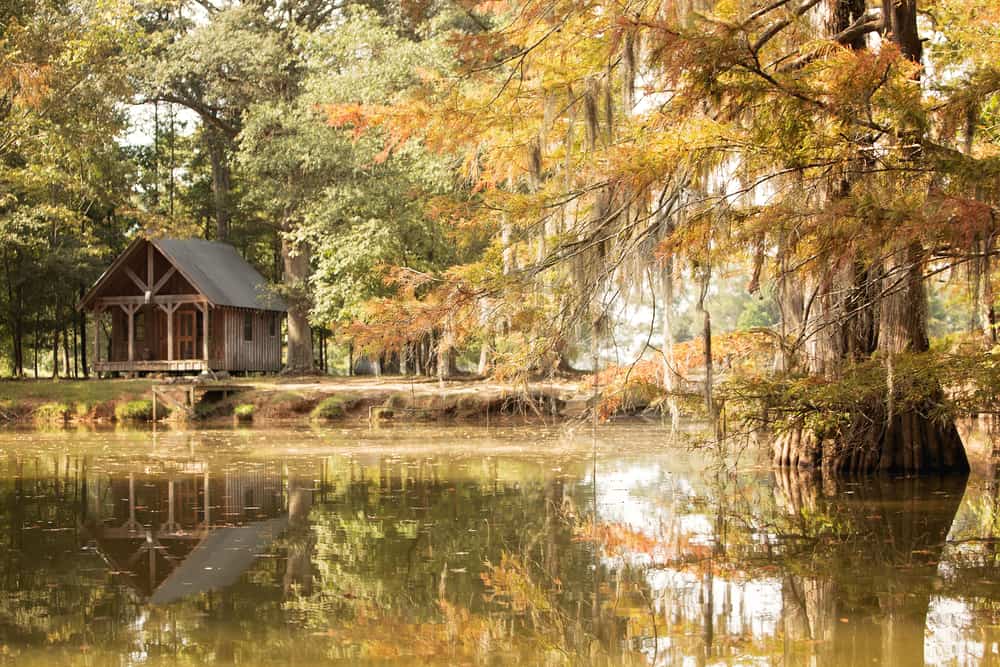 Bayou Country USA