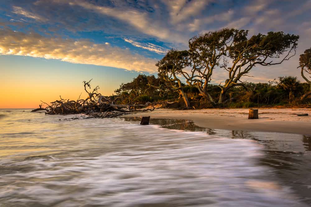 Jekyll Island 