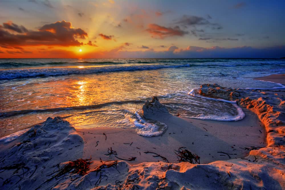 Padre Island National Seashore