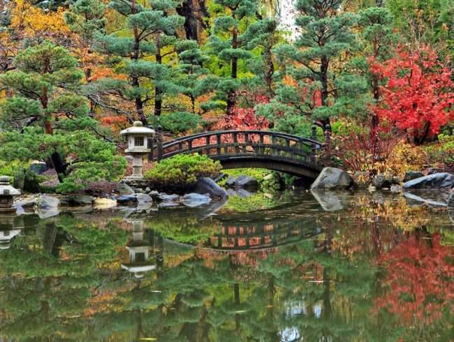 anderson japanese garden chicago glasnik