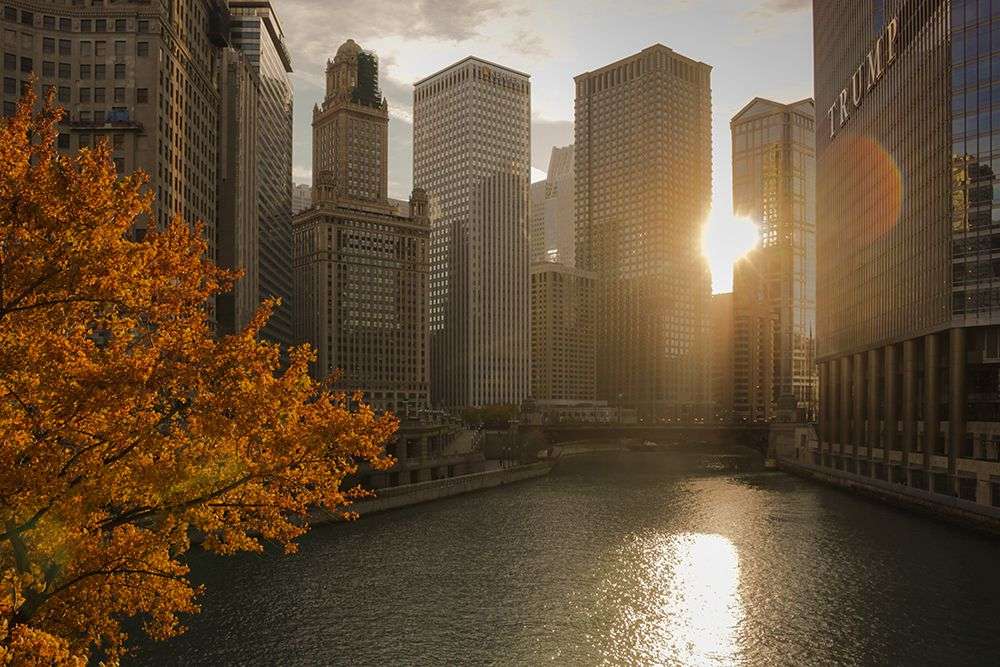 Evo koji nas festivali očekuju u oktobru u Čikagu - Chicago Glasnik