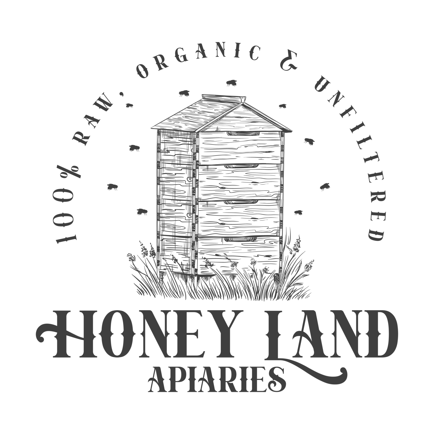 Domaći, lokalni med na prodaju - Chicago Glasnik