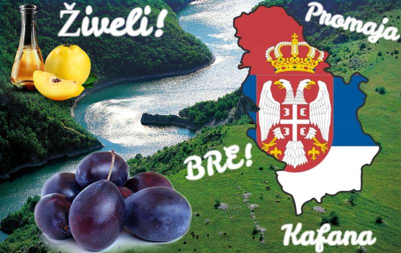 Da li znate koliko srpskih reči ima u engleskom jeziku?
