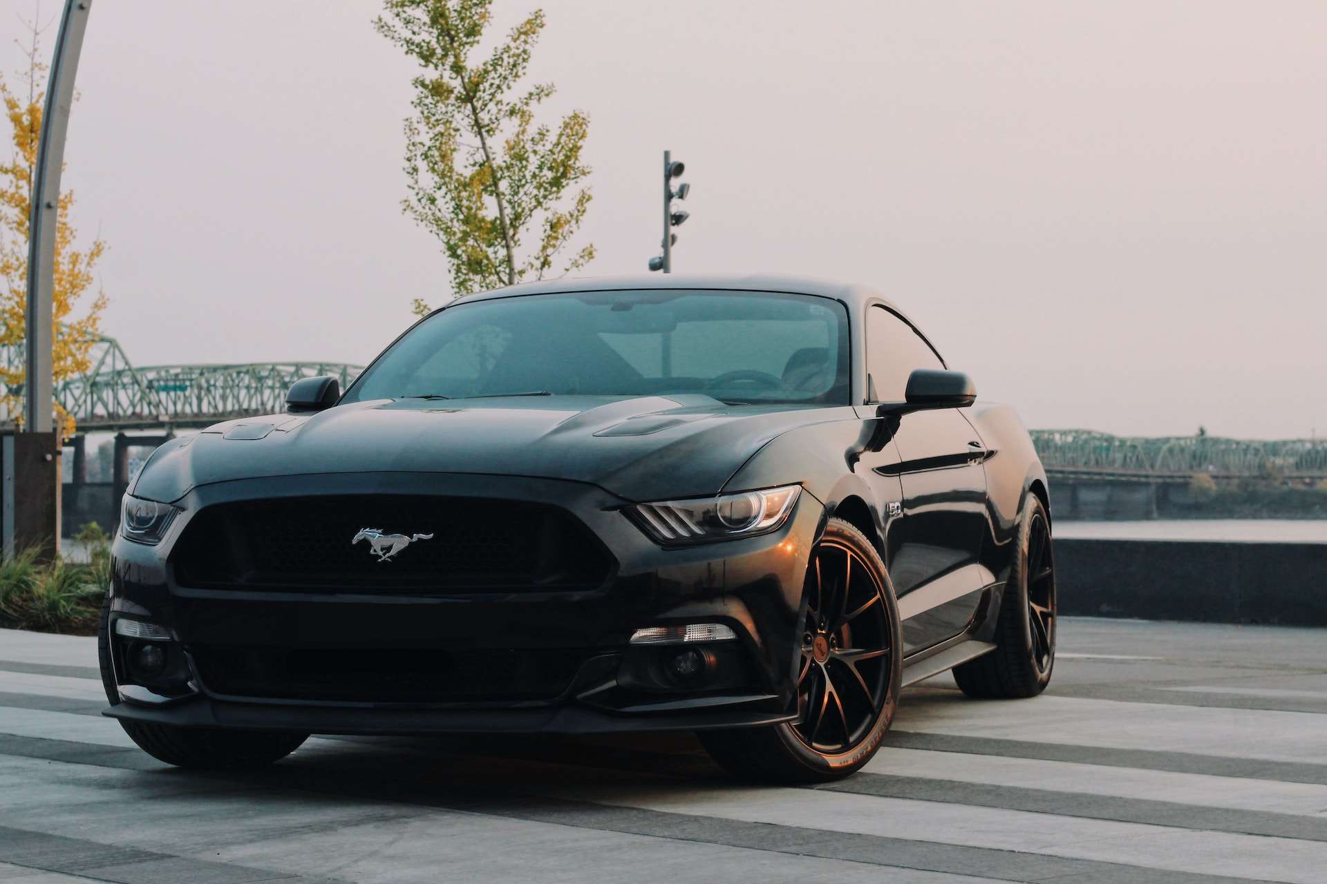Srbija otvara vrata: Polovni automobili iz Amerike stižu na domaće tržište