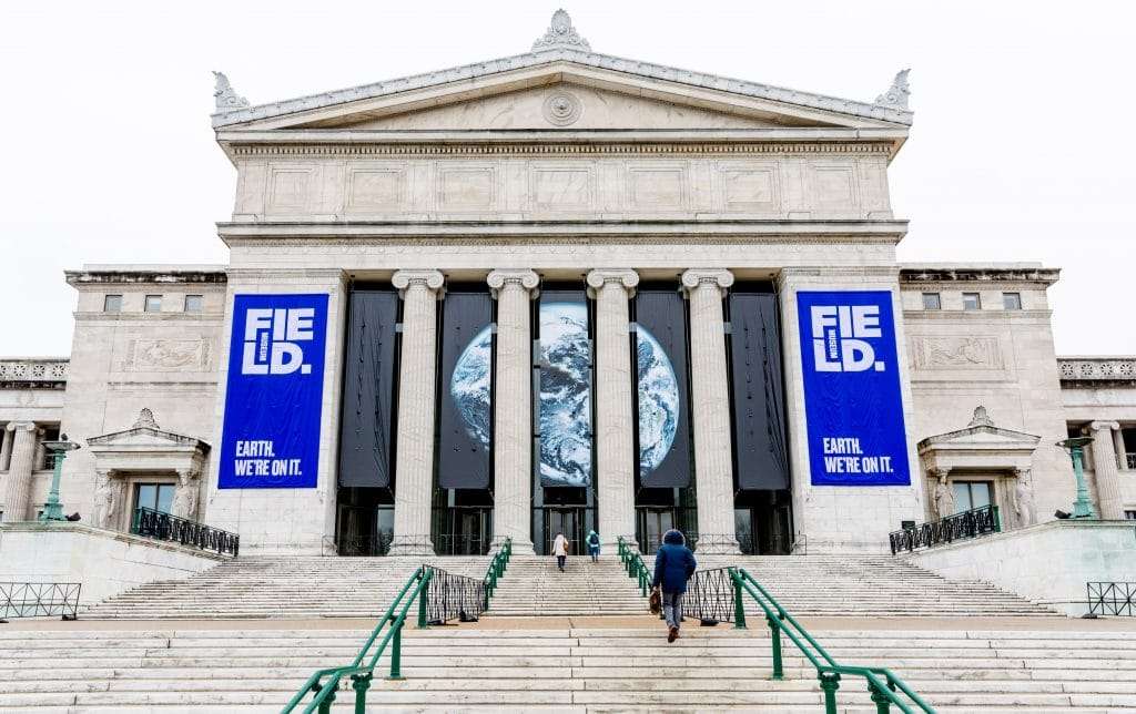 Chicago's Field Museum: Besplatan ulaz za stanovnike Ilinoisa sredom do 31. januara - Chicago Glasnik