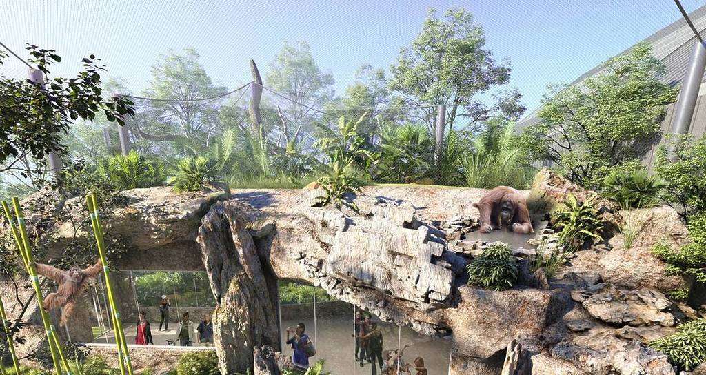 Tropska šuma: Brookfield Zoo ulaže 66 miliona dolara u novo stanište za životinje - Chicago Glasnik