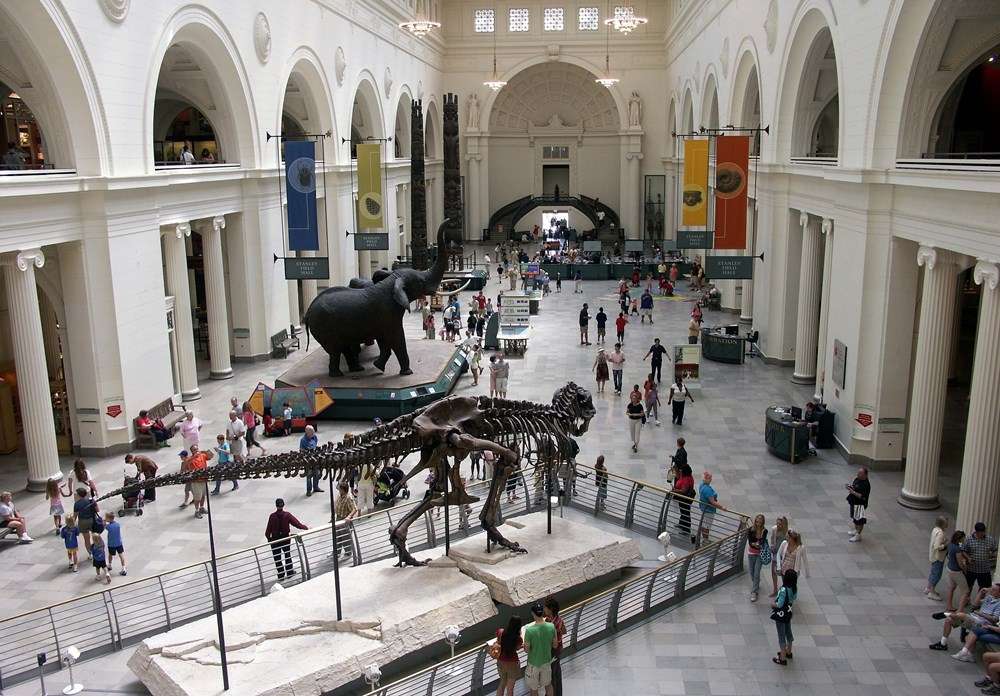 Field muzej, Adler planetarijum, Šed akvarijum i drugi: Evo na koje dane je ulaz besplatan - Chicago Glasnik