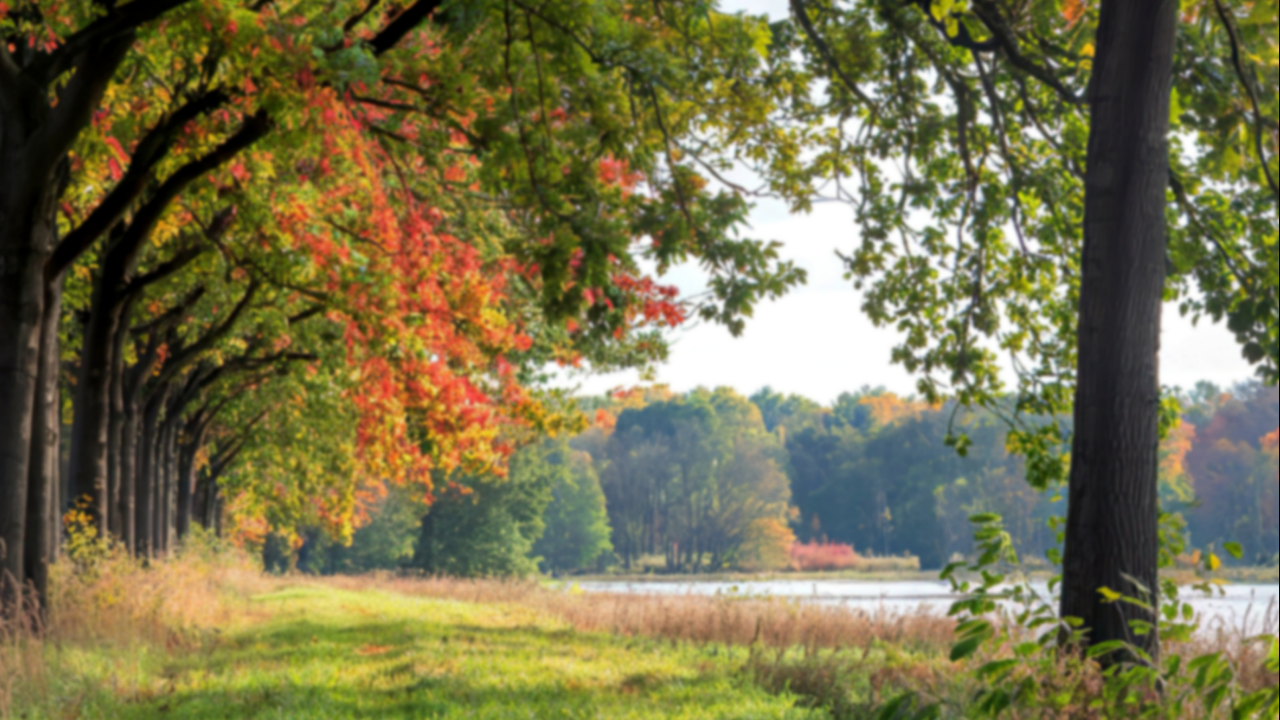 Samo sat vremena od Čikaga: državni park sa tri jezera, šumskim stazama i retkim kamenim akvaduktom iz 19. veka