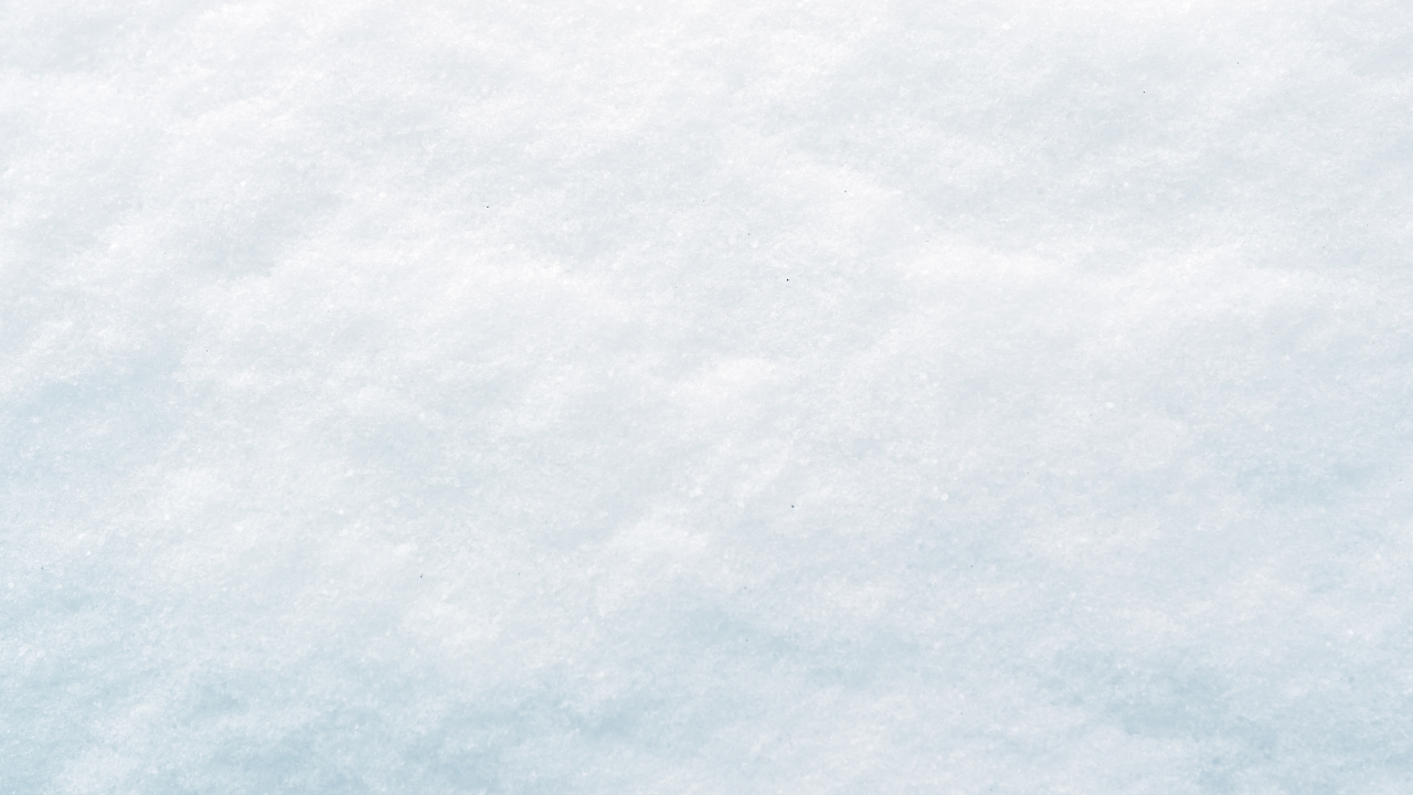 Subota bila najsnežniji novembarski dan u Čikagu – gotovo 23 cm snega prekrilo grad