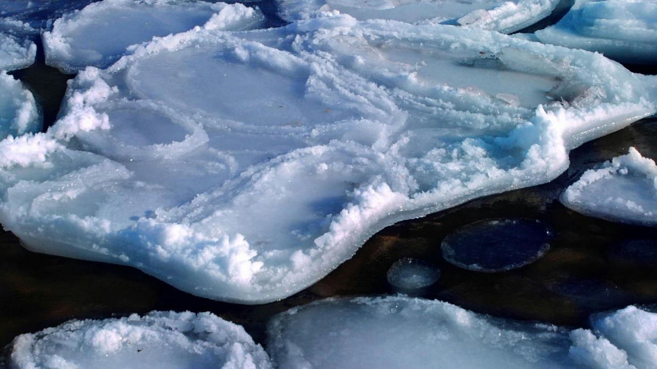 Polar Vortex: države pogođene gotovo rekordnom hladnoćom