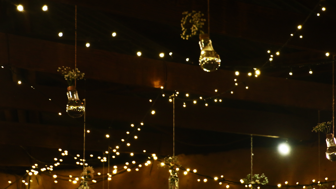 Botanička bašta ponovo pokreće svoj svetleći praznični spektakl - ovog puta još blistaviji nego ikad