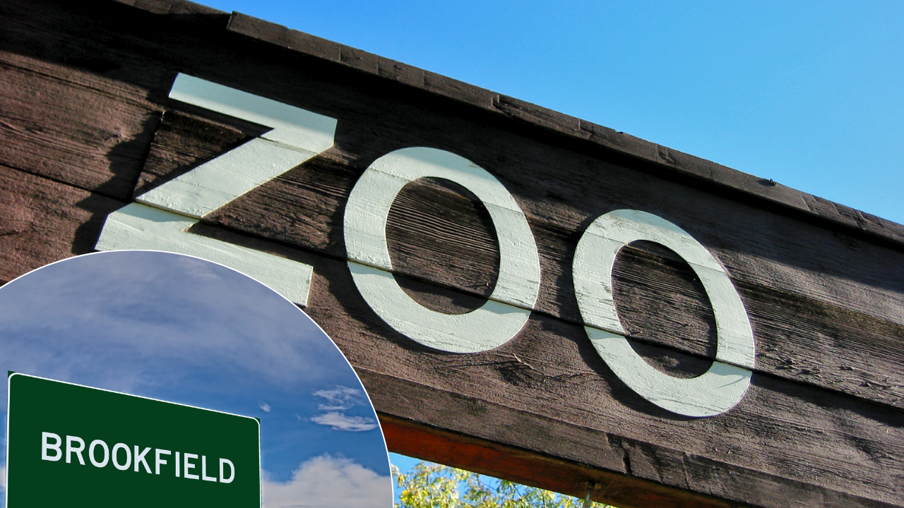 Velika izložba dinosaurusa stiže u Brookfield Zoo u Čikagu