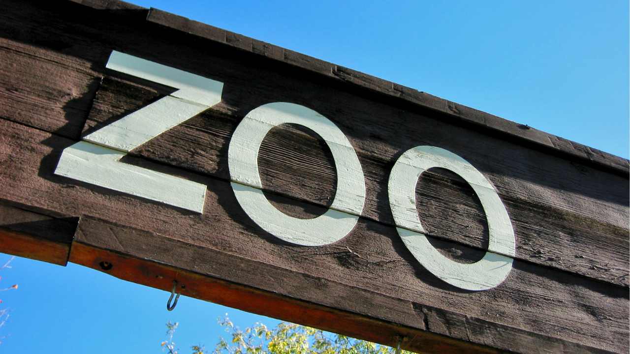 Prolećna bajka nadomak Čikaga: Glow Wild Festival osvetljava Peoria Zoo