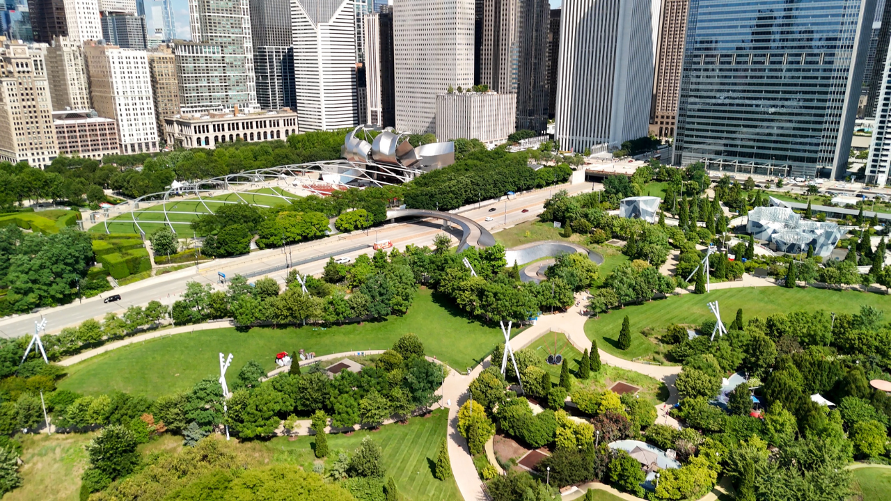 Više od 220 stabala trešnje procvetalo u čikaškom parku pred veliki besplatan festival