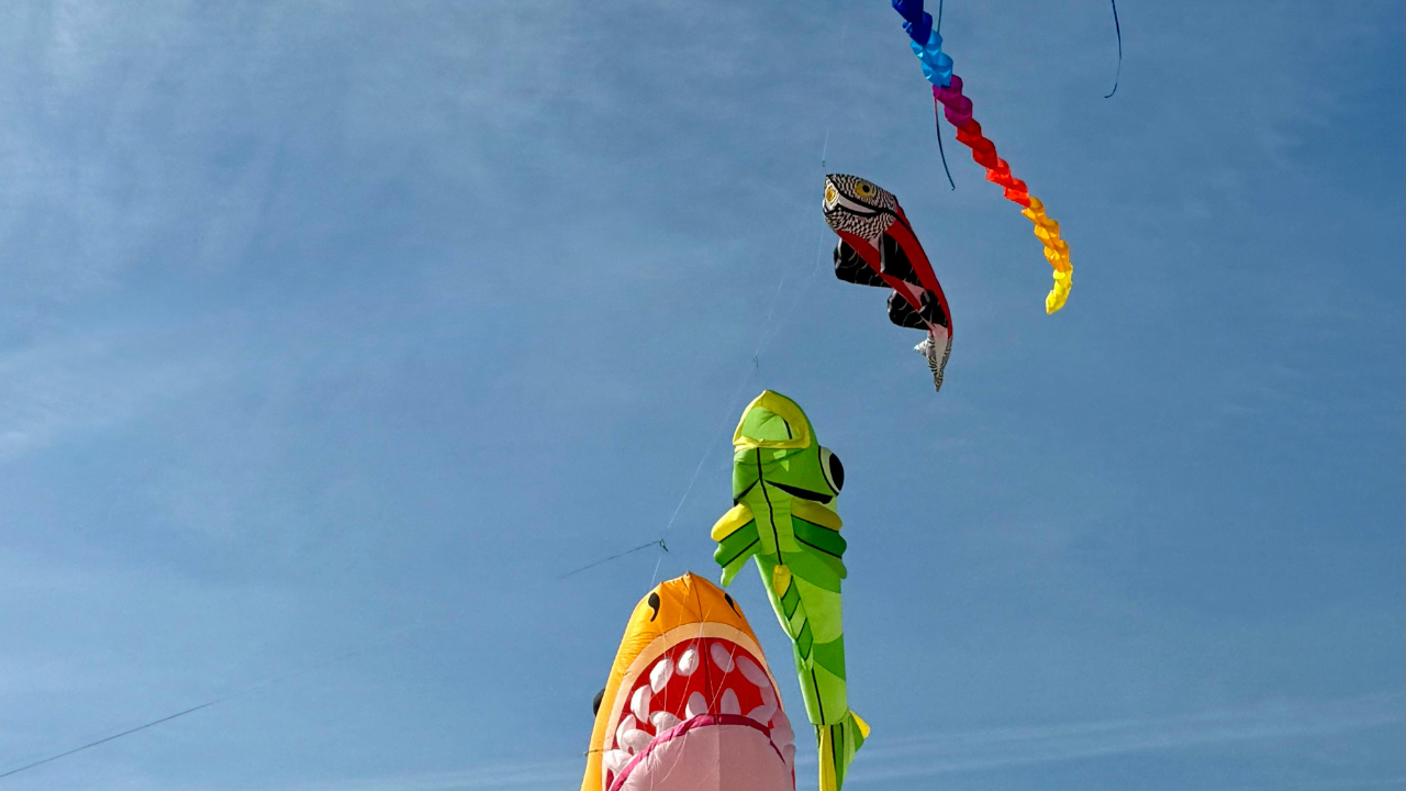 Skriveni prolećni dragulj blizu Ilinoisa: Festival zmajeva i cvetnih polja otvoren samo jedan vikend