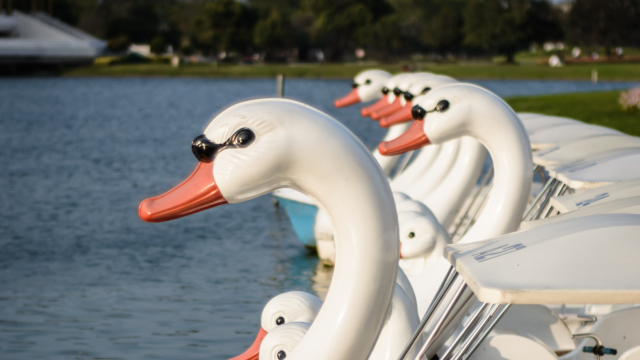 Čuveni labud čamci i Surrey bicikli vraćaju se u Čikago ovog leta