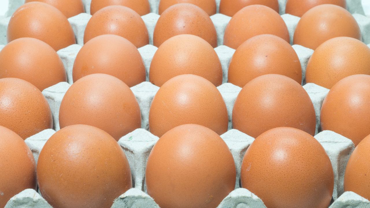 FDA uvela najviši nivo rizika za povučeno više od 1,5 miliona jaja zbog salmonele