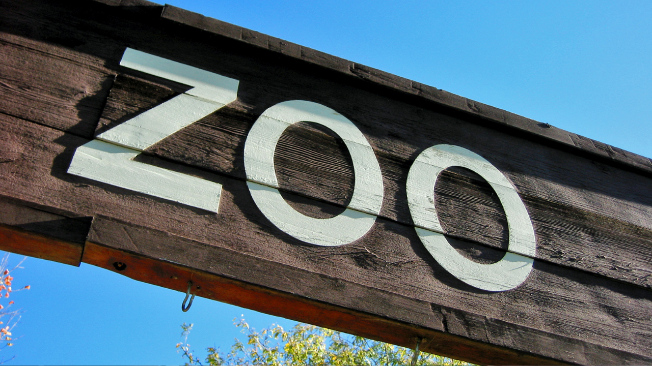 Zoološki vrt Brookfield organizuje prvi Festival svetlećih životinjskih lampiona